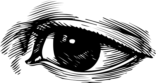 what to see in houston