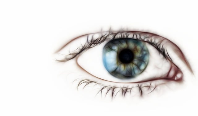 what to see in new orleans