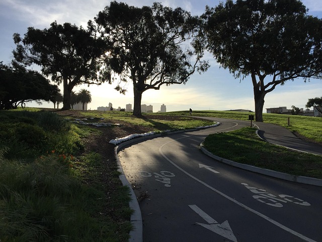 what to see in san francisco