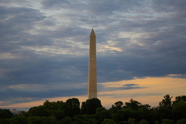 what to see in washington dc