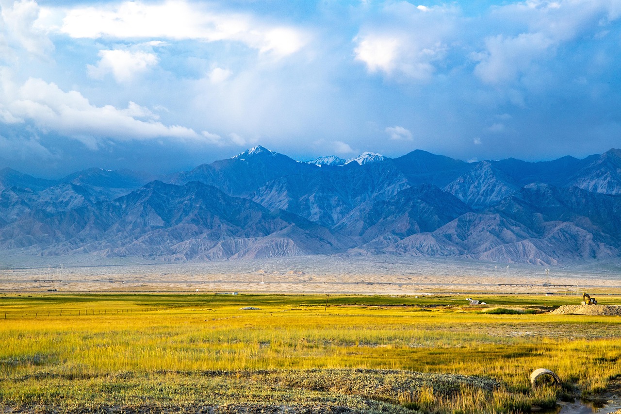 Bella Vista Farms: Unveiling the Real Estate Opportunities in Maricopa