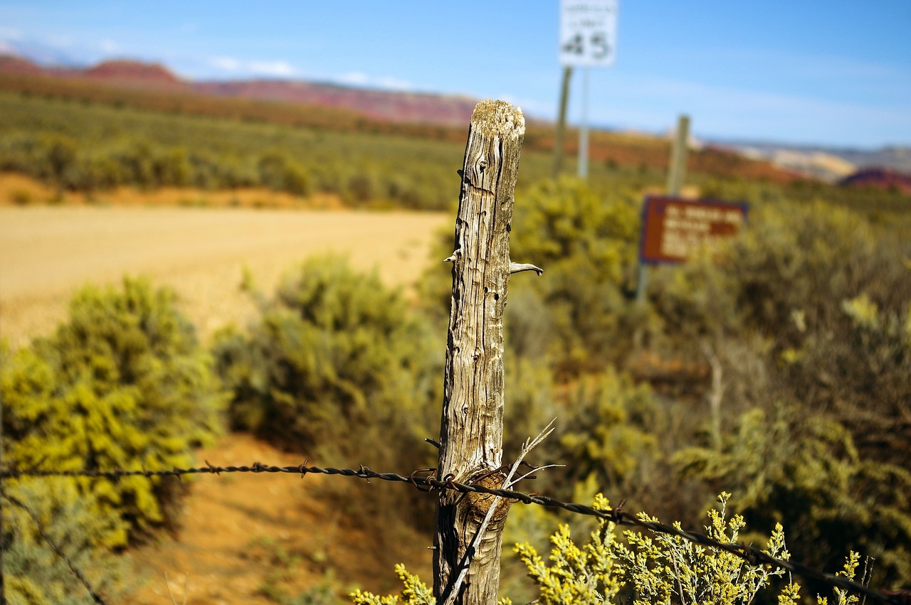 Selling Your Home in Escalante: A Comprehensive Guide to Navigating the Tempe Market