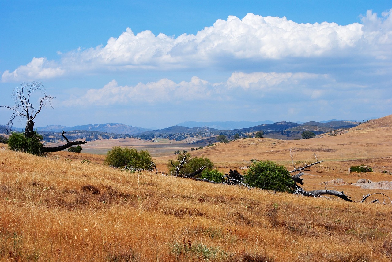 Selling Your Home in Las Colinas, San Tan Valley: A Comprehensive Guide to Success