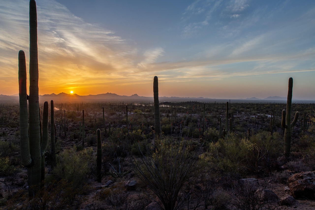 Selling Your Home in Saguaro Park: A Guide to Success in Surprise, Arizona
