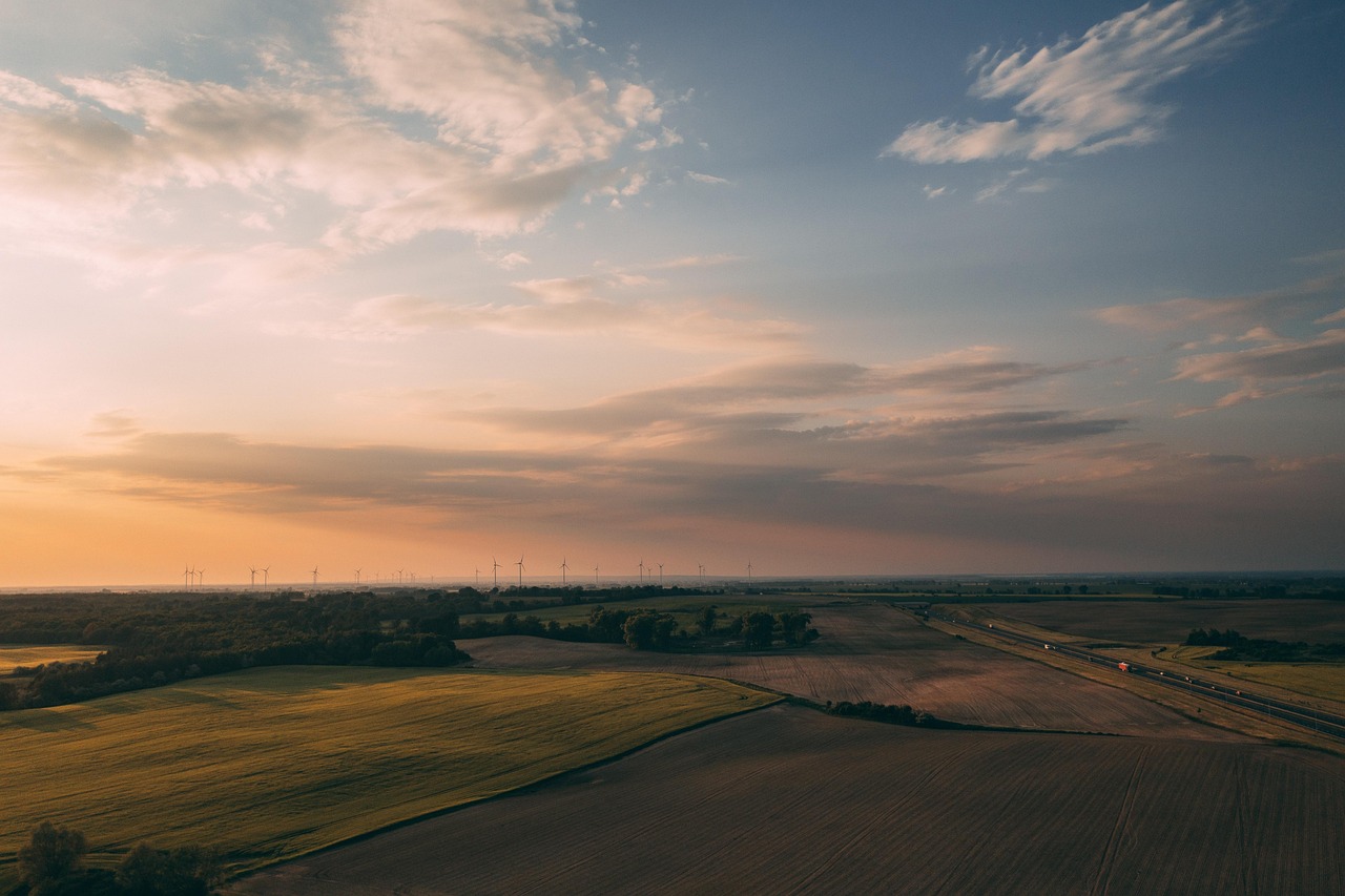 Sunset Farms: Tolleson’s Real Estate Market Update and Trends
