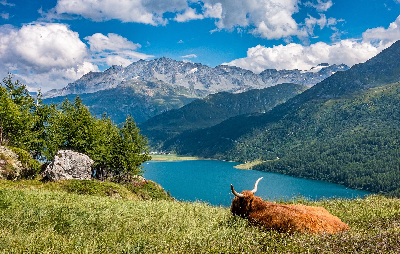 the-highlands-at-dove-mountain-a-month-o-640x480-ywzpdm