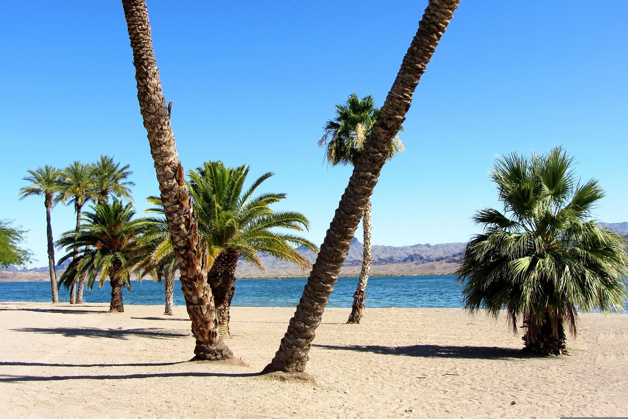 Lake Havasu City, Arizona: A Comprehensive Home Value Estimate Guide