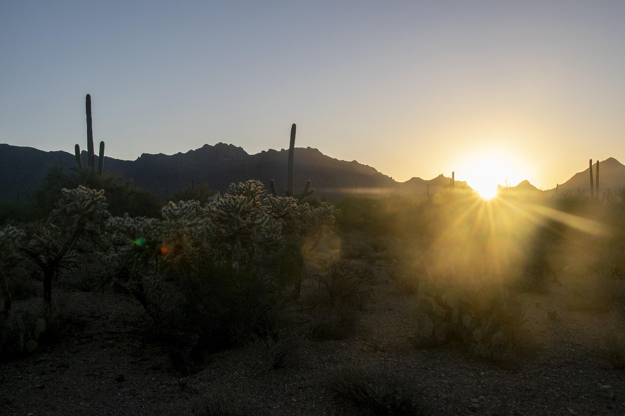 omni-tucson-national-estates-insider-tip-640x480-fc9oor