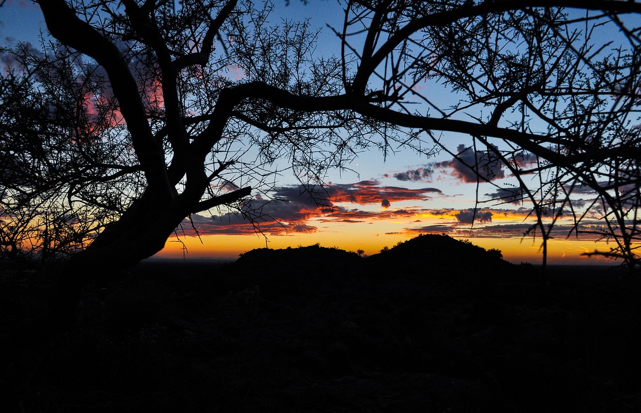 Phoenix Things to Do: A Comprehensive Guide to Events This Month in Phoenix, Arizona