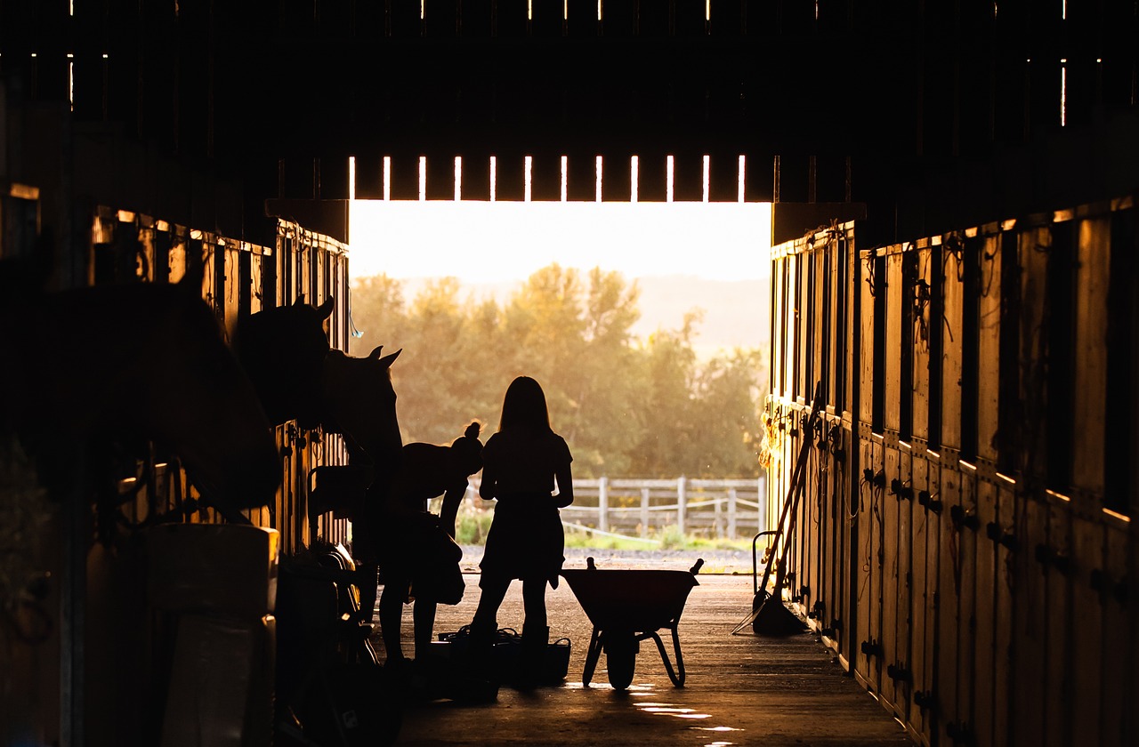 Selling Your Home at Sunset Ranch: A Comprehensive Guide to Real Estate Success in Peoria