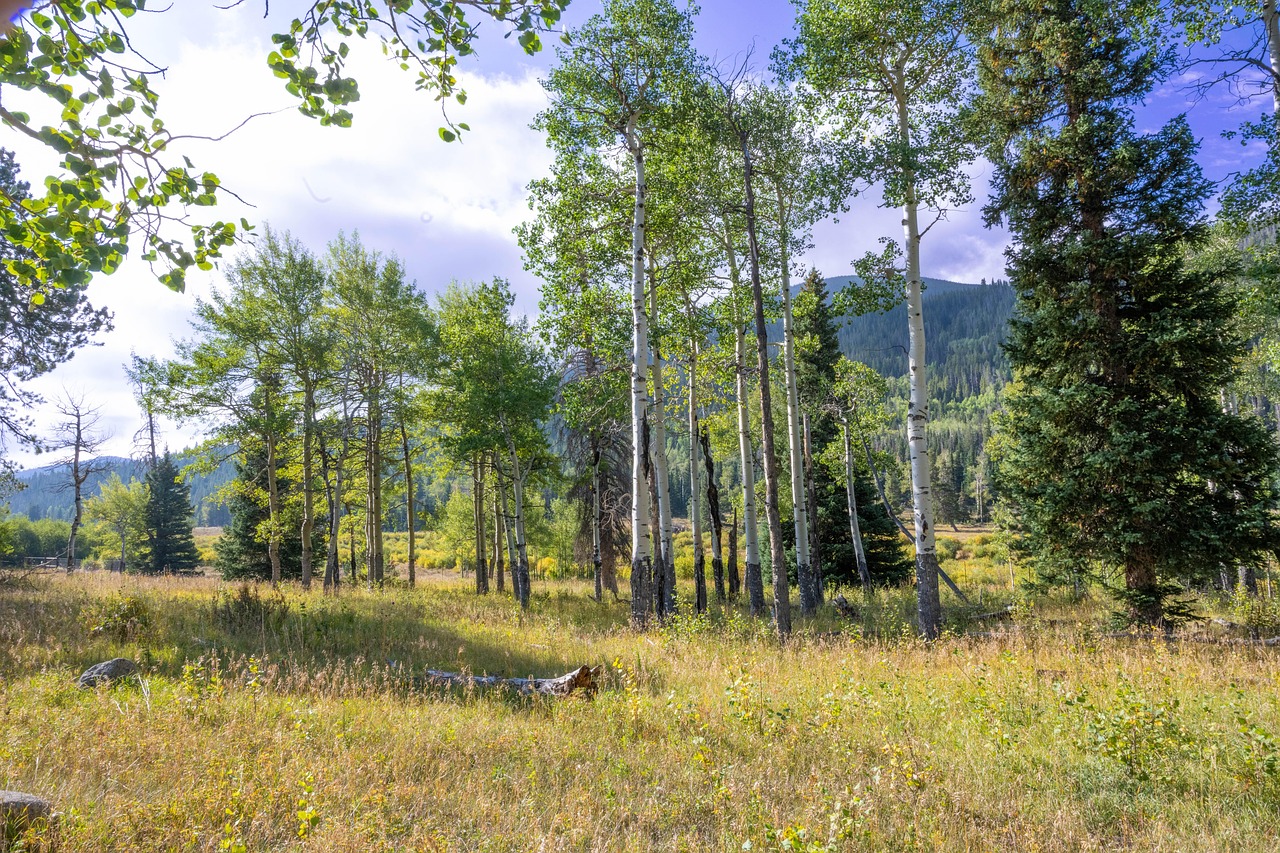 aspen-things-to-do-an-ultimate-guide-to-640x480-grisqn