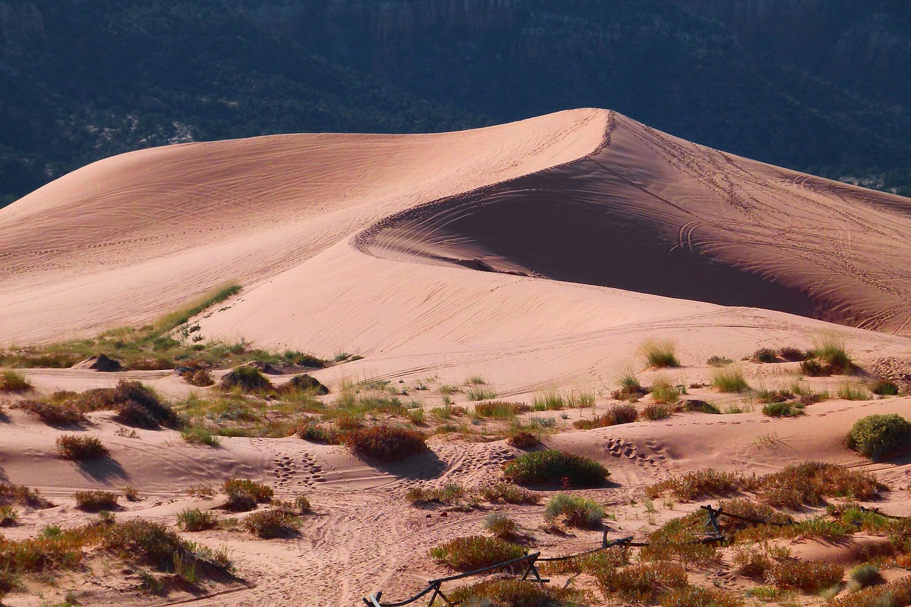 Aviano at Desert Ridge: Expert Realtor Advice for Your Phoenix Home Search