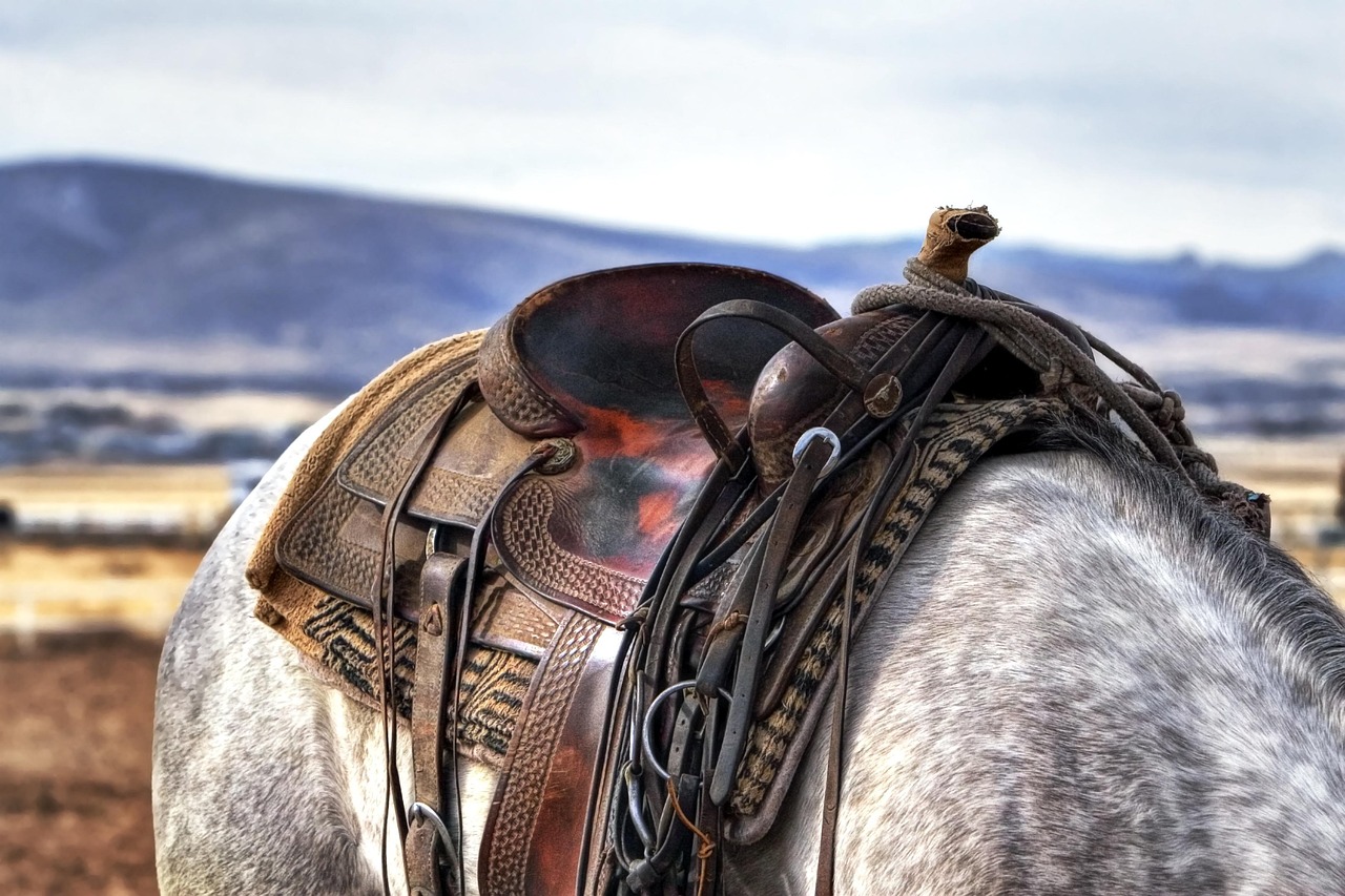 explore-coldwater-ranch-an-outdoor-parad-640x480-ifyz7d