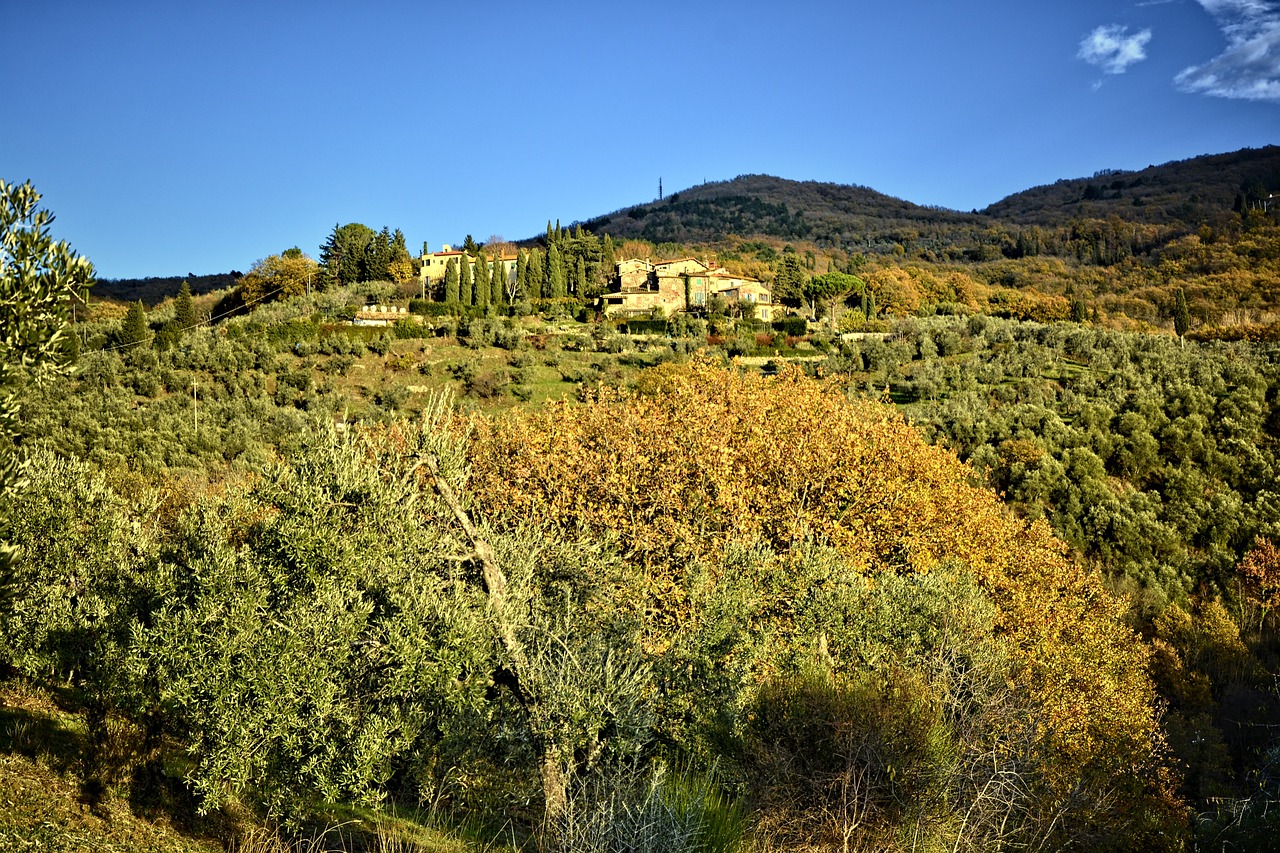 Florence Estates: Discover Your Dream Home in This Sought-After Community