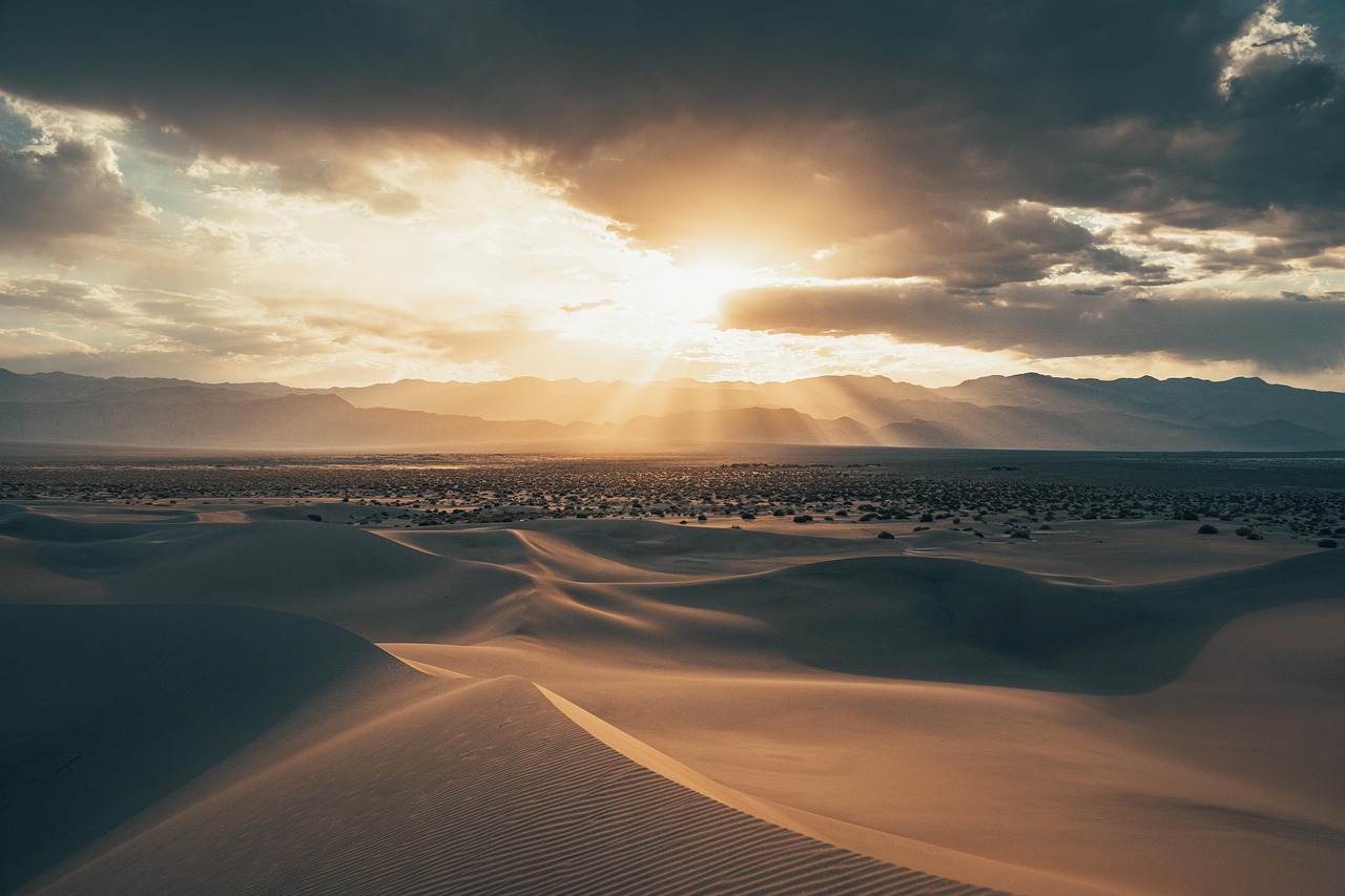 Sun City Oro Valley: Insider Tips from Top Realtors on Buying and Selling