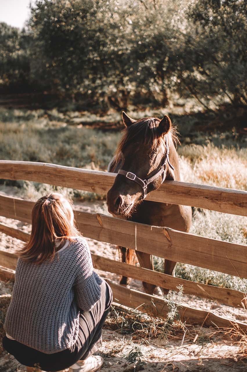 TL;DR: Unveiling Copper Mountain Ranch: A Casa Grande Haven for Homebuyers
