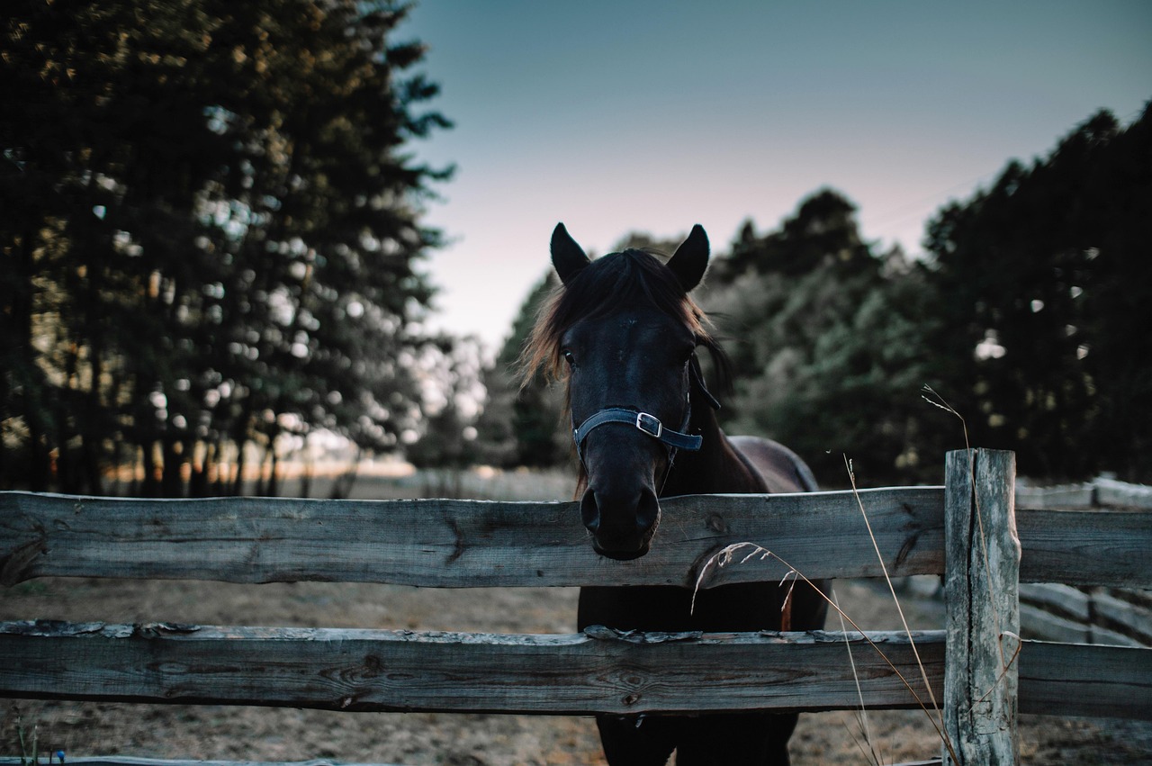 Unlocking the Home Value Estimate: Exploring Rovey Farm Estates in Glendale