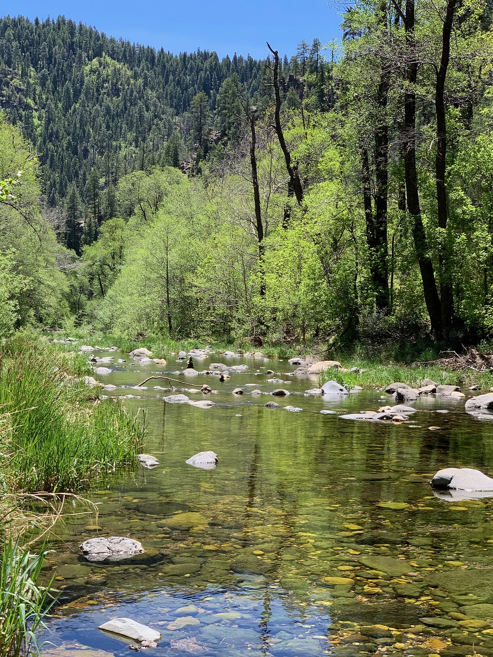 camping-adventures-await-in-village-of-o-640x480-25z42p