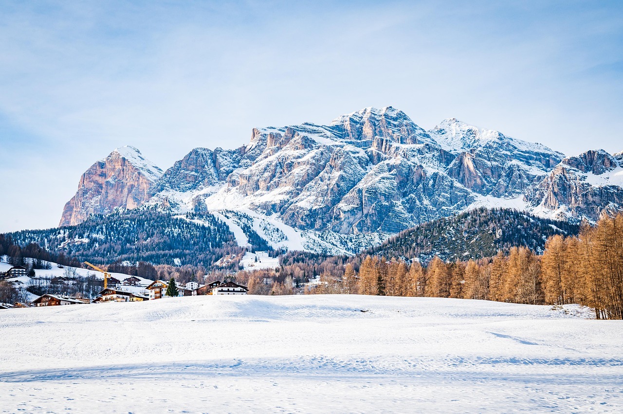 Cortina Seller Strategies: Capture Market, Craft Presentations, Build Relationships