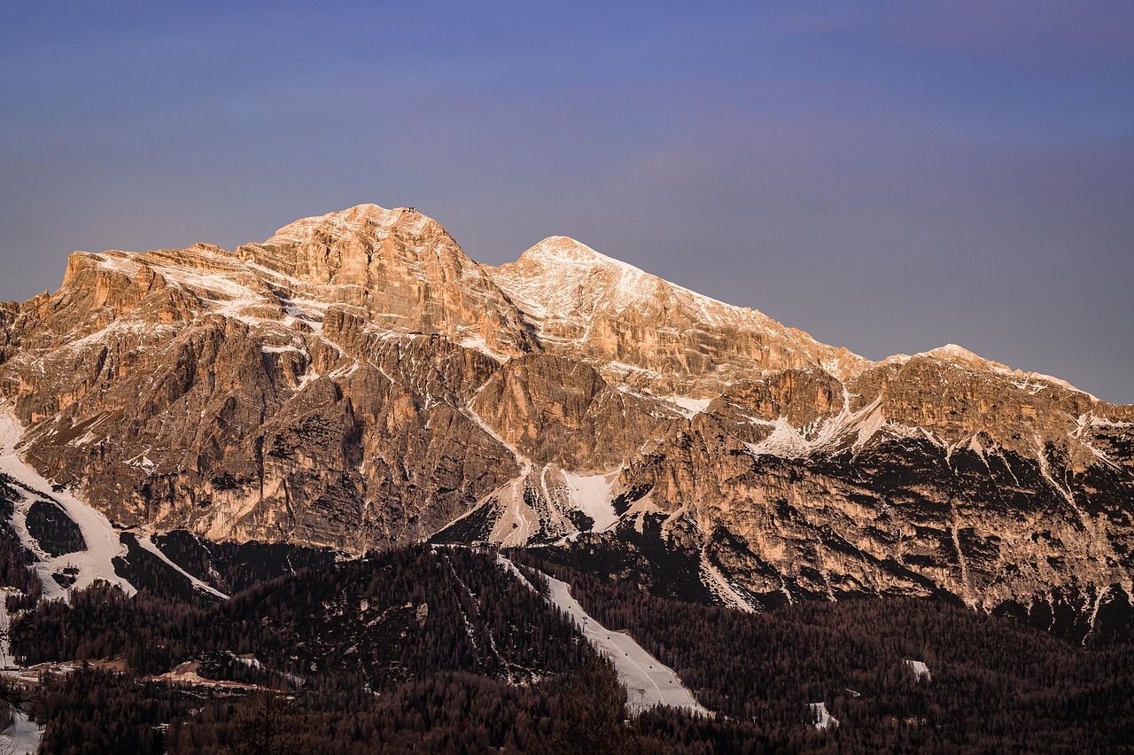 Cortina: Unlocking Success, Navigating Trends, Building Relationships
