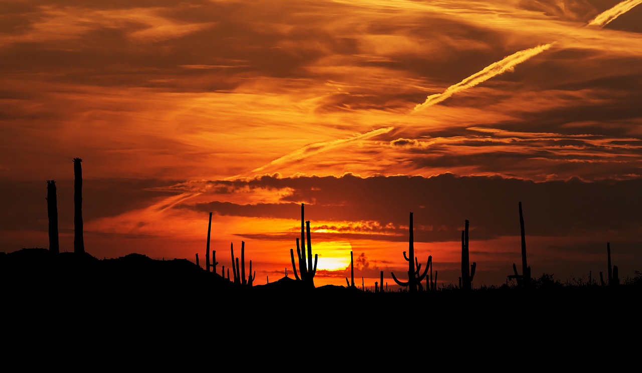 Discover Adventures at Sonoran Mountain Ranchs Doorstep