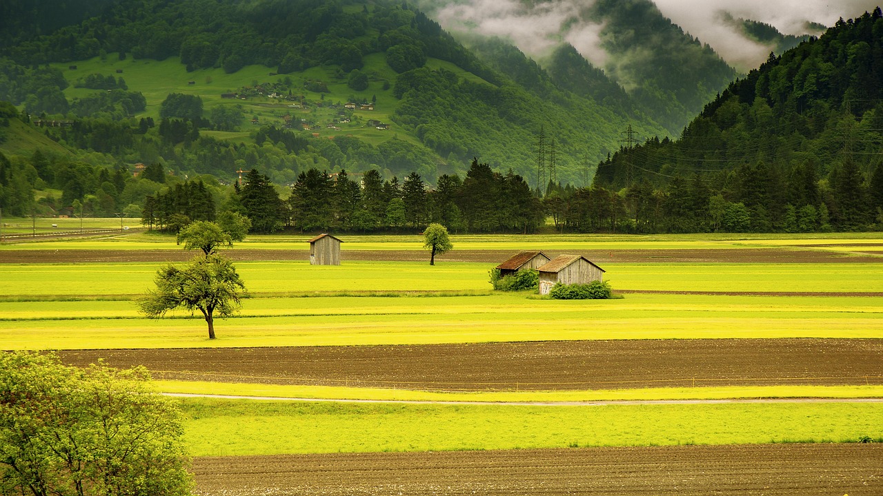 Discover Anderson Farms & Beyond: Immerse in Local Cultural Wonders