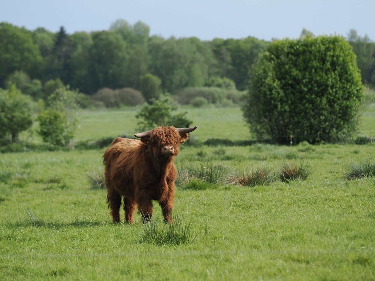 Discover Country Meadows Secrets: Adventure, Culture & Calm