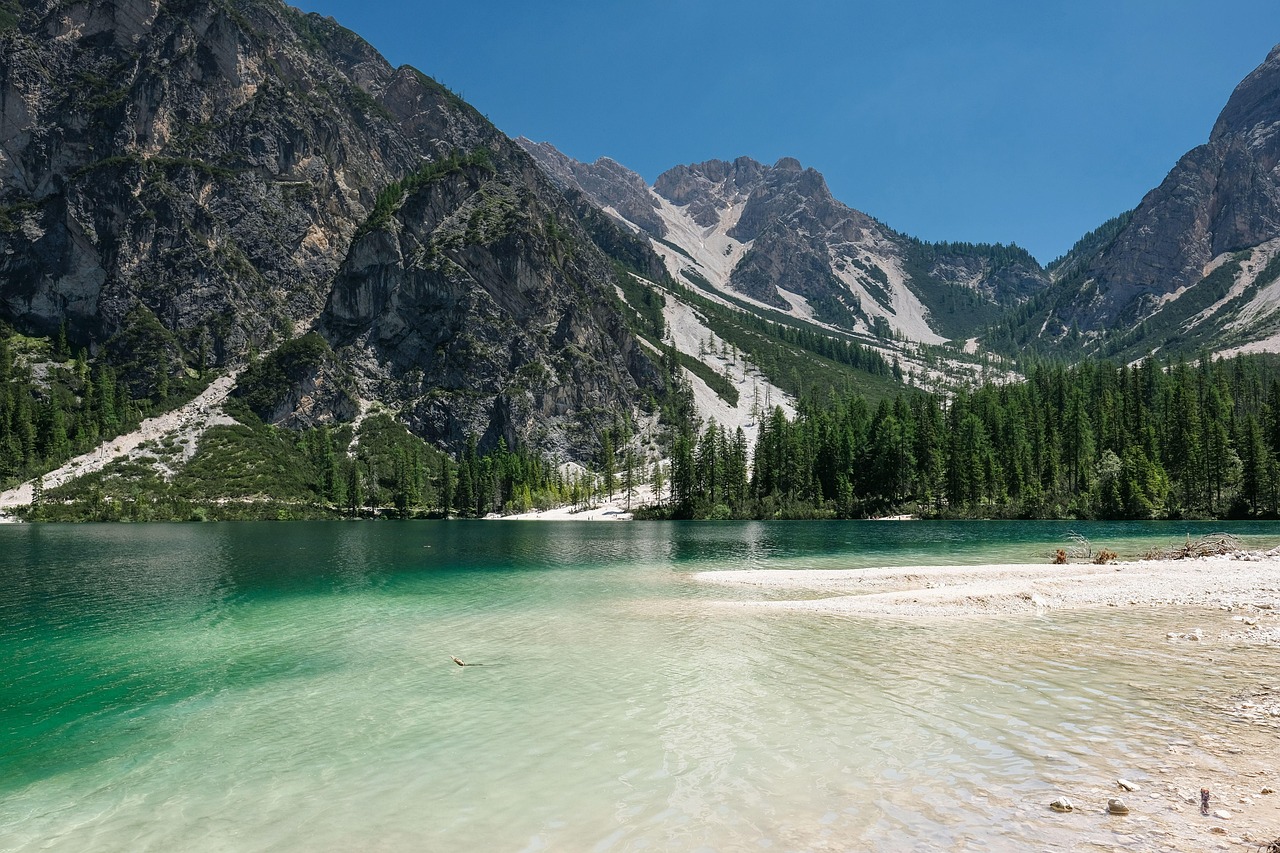 Discover Country Place: Nature, Culture & Culinary Delights