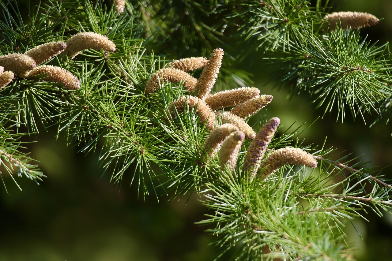discover-desert-cedars-adventures-and-cu-640x480-28wnh7