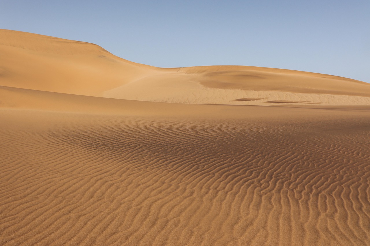 discover-desert-cedars-adventures-and-cu-640x480-gpv2b1