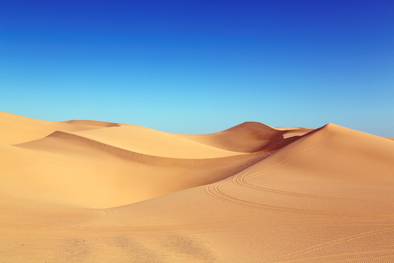 Discover Desert Sky Ranch: Adventures and Cultural Treasures Nearby