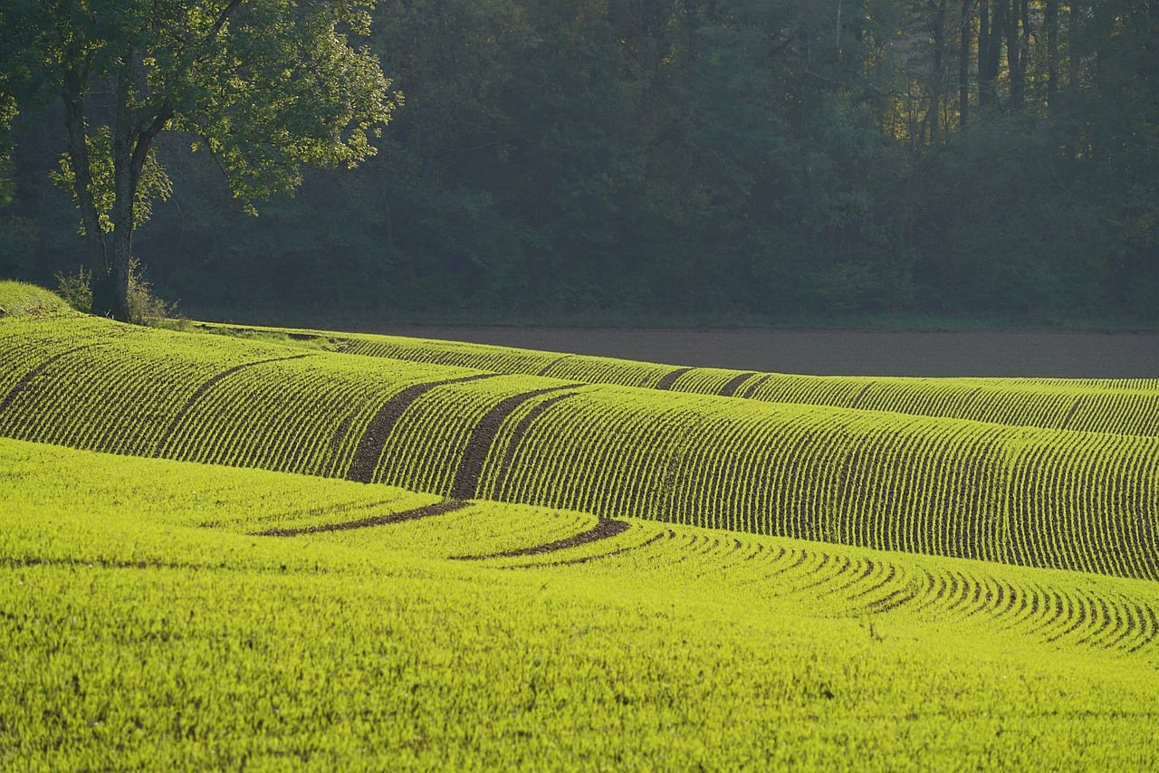Discover Elliot Groves: Nature, Culture & Urban Fun Nearby