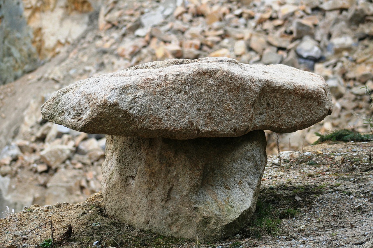 Discover Granite Run: Nature, Culture, Dining, and Shopping
