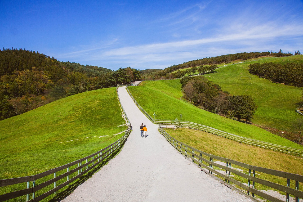 Discover Greer Ranch South: Adventure, Culture & Wellness Nearby