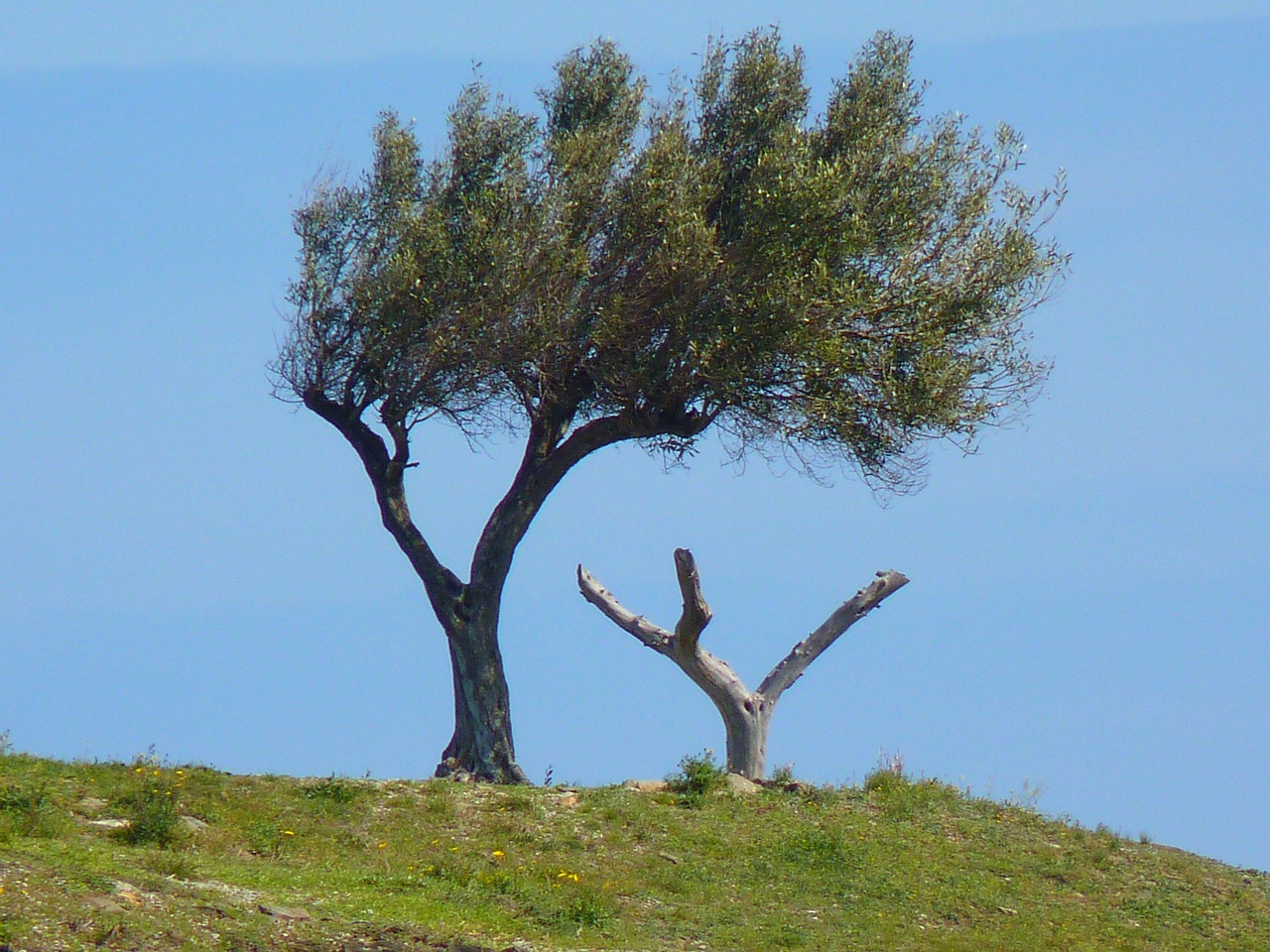 discover-hidden-gems-at-crooked-tree-par-640x480-akl5ss