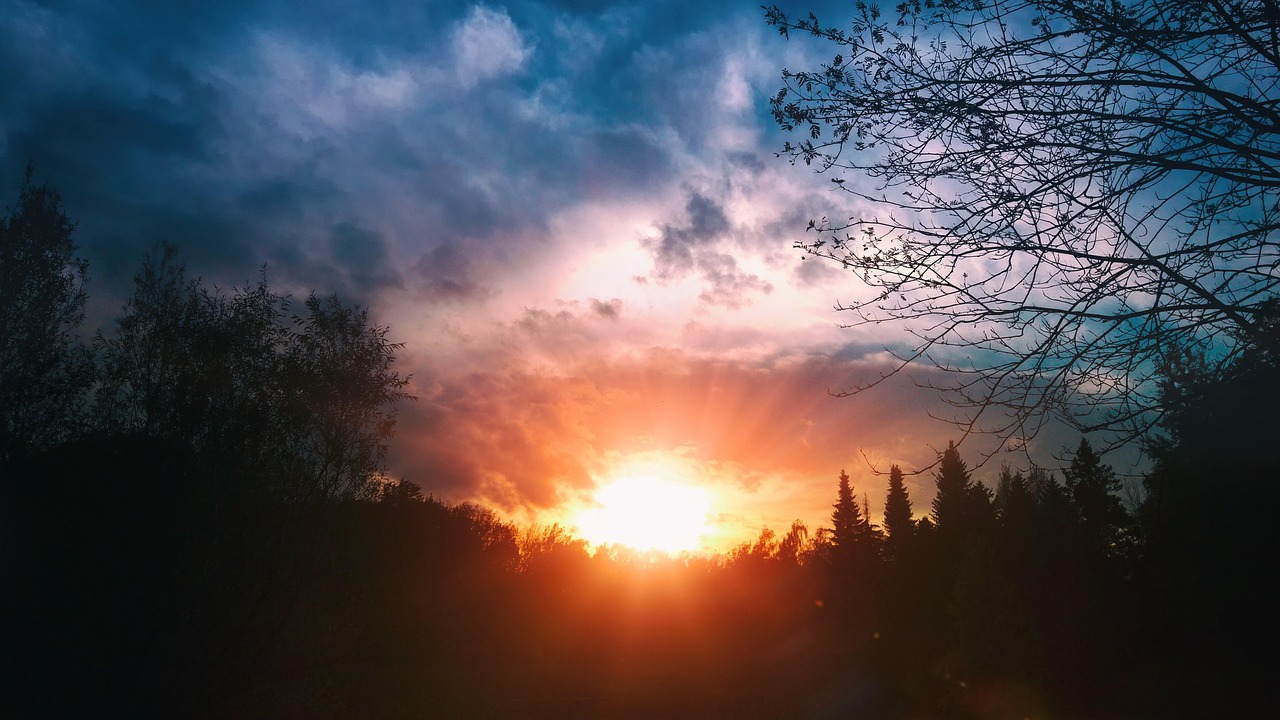 Discover Mitchell Park West: Adventures, Culture, and Cuisine