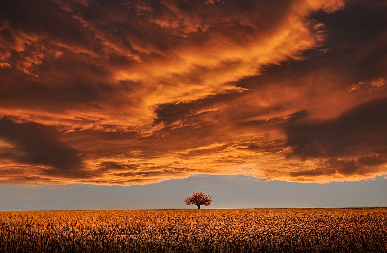 Discover Orange Tree Golf & Beyond: Nature & Local Treasures