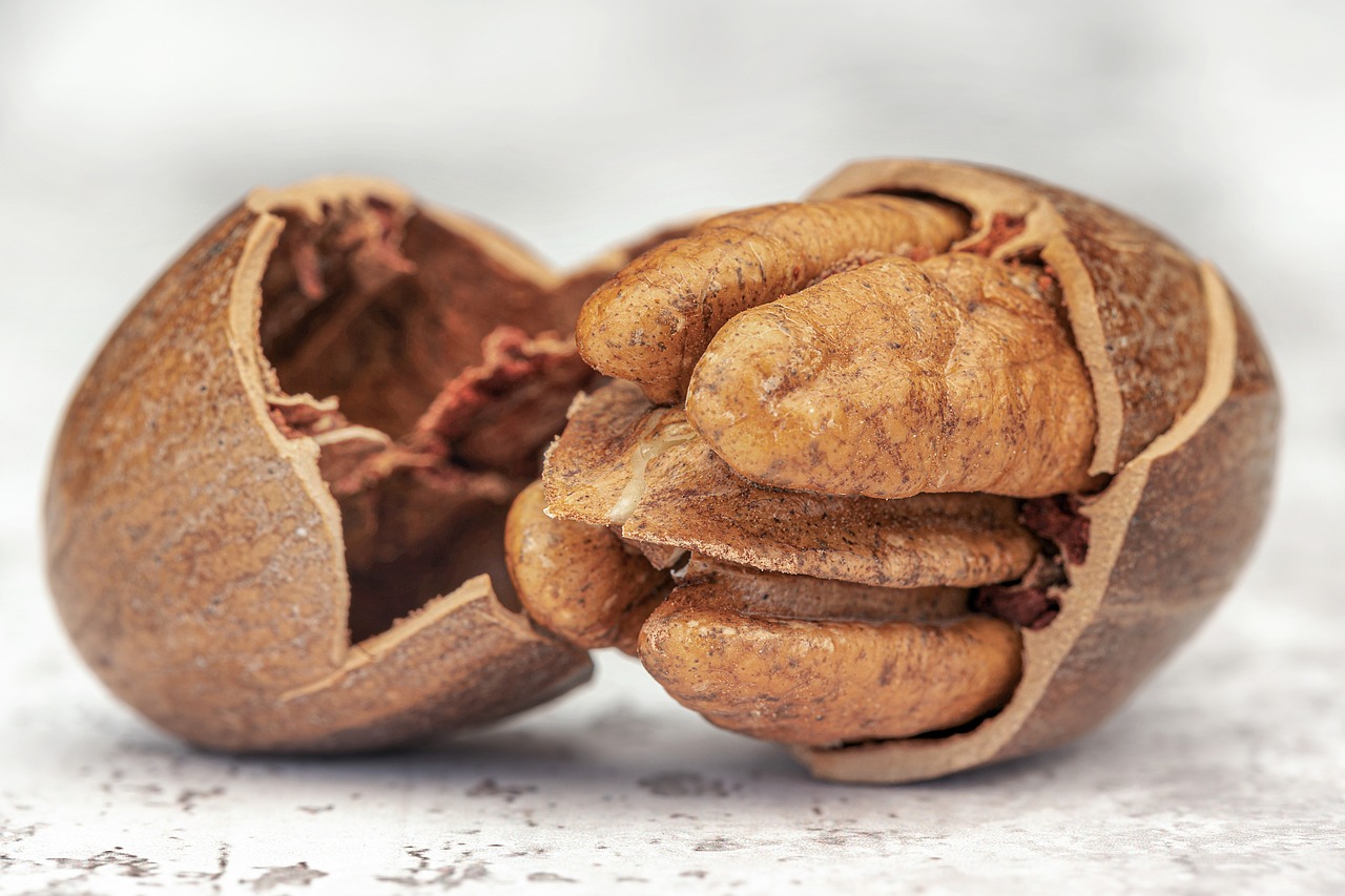 Discover Pecan Creek Souths Charms: Adventure, Culture & Flavors