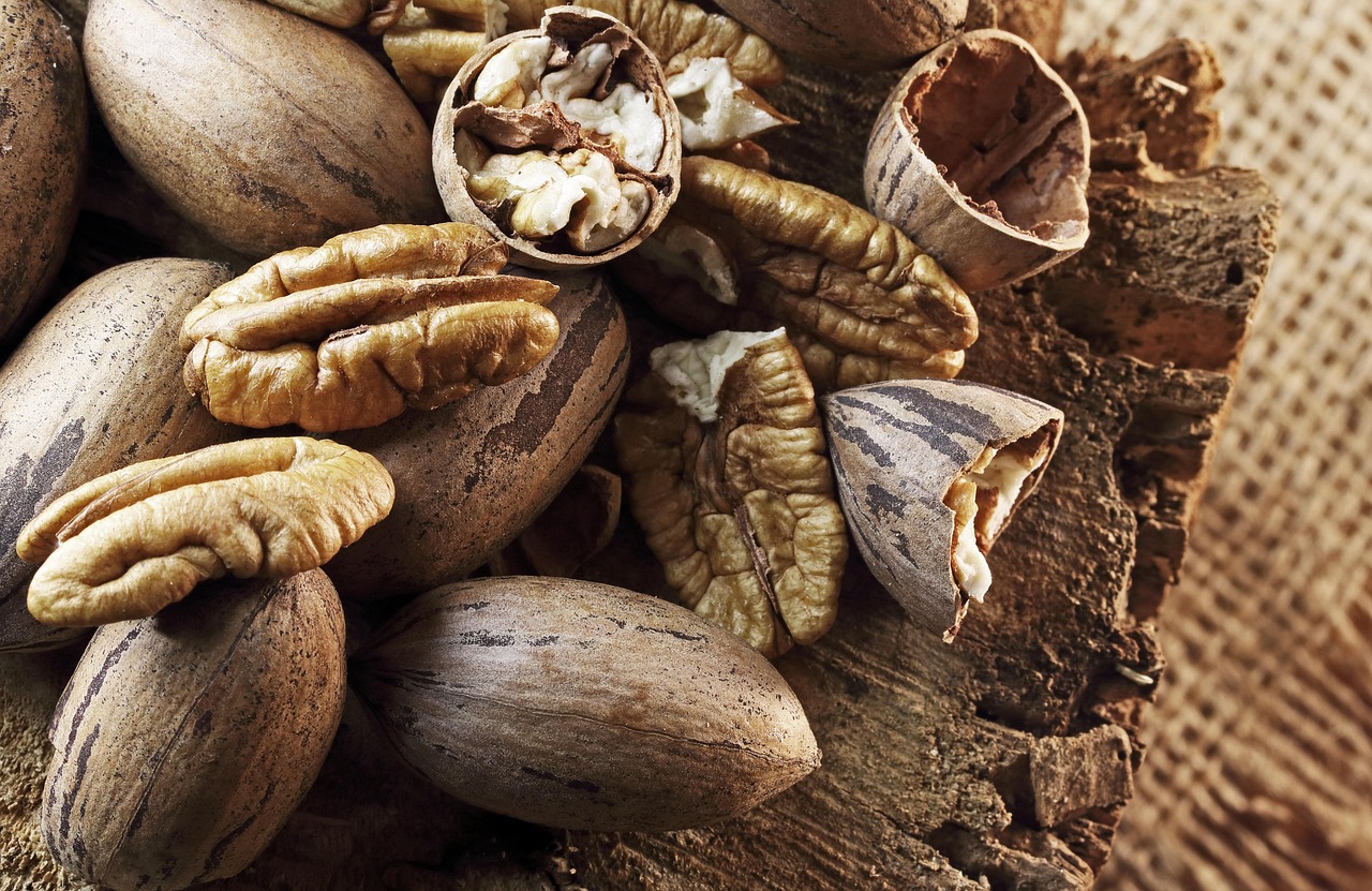 Discover Pecan Creeks Outdoor, Cultural Treasures & Local Delights