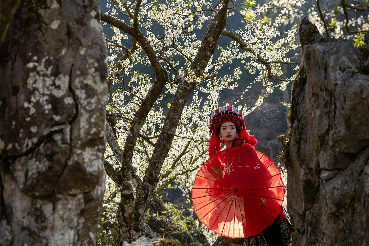 Discover Rock Springs Vibrant Events This Month