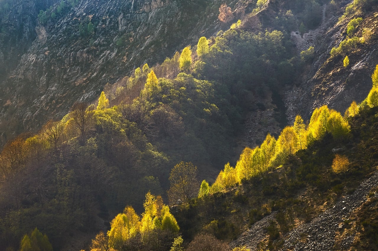 Discover Shadow Mountain: Nature, Adventure, Cultural Treasures Await