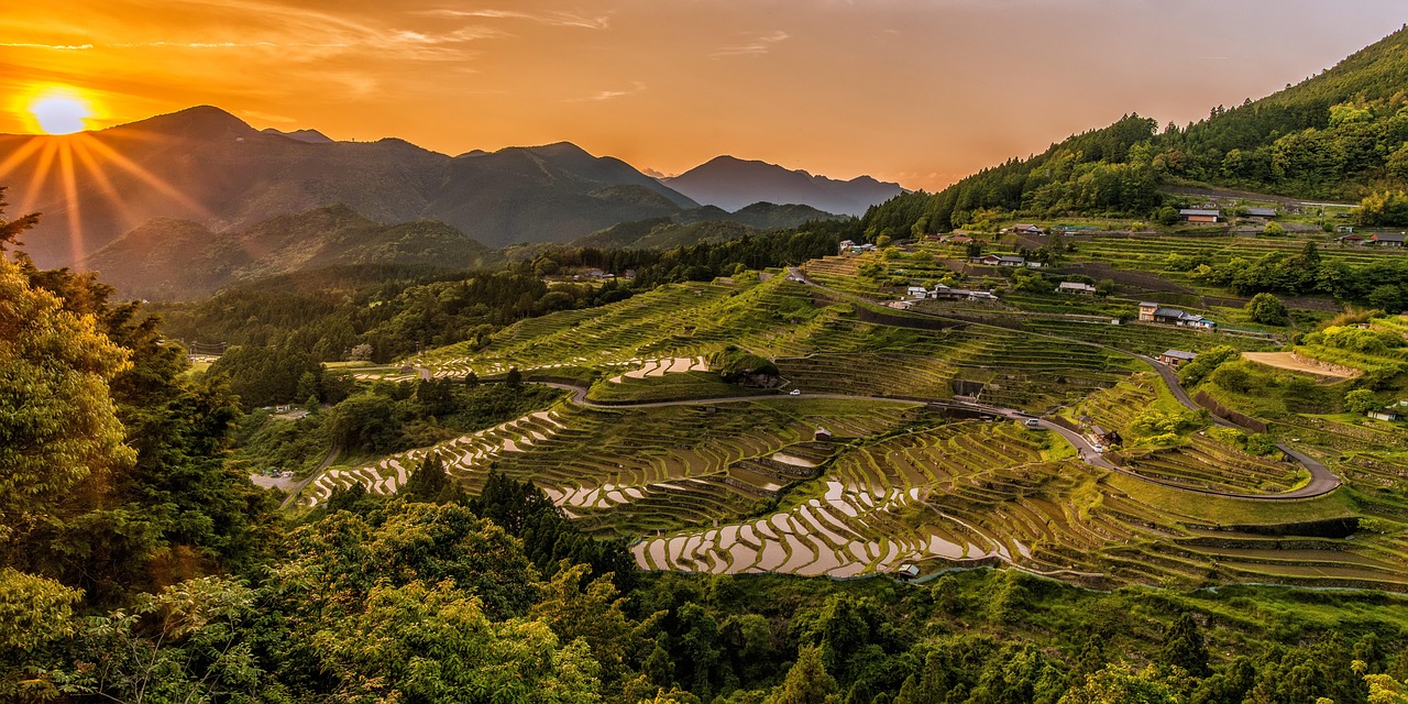 discover-sunset-farms-nature-cuisine-and-640x480-4f9mj9