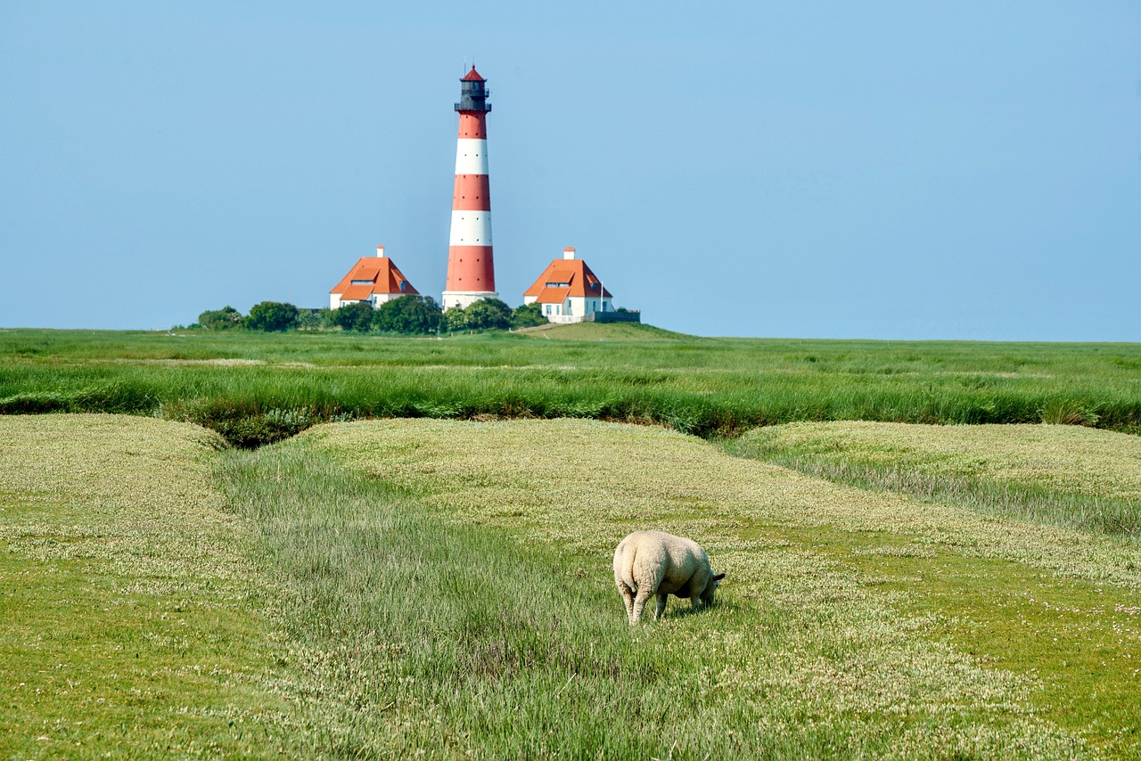 discover-troon-north-nature-culture-and-640x480-wj9il8