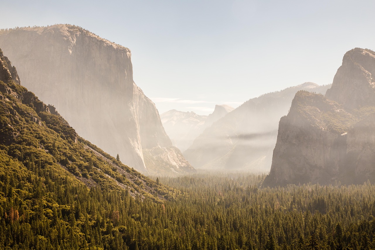 Discover Vista Pointe: Nature, Culture, Outdoor Escapes