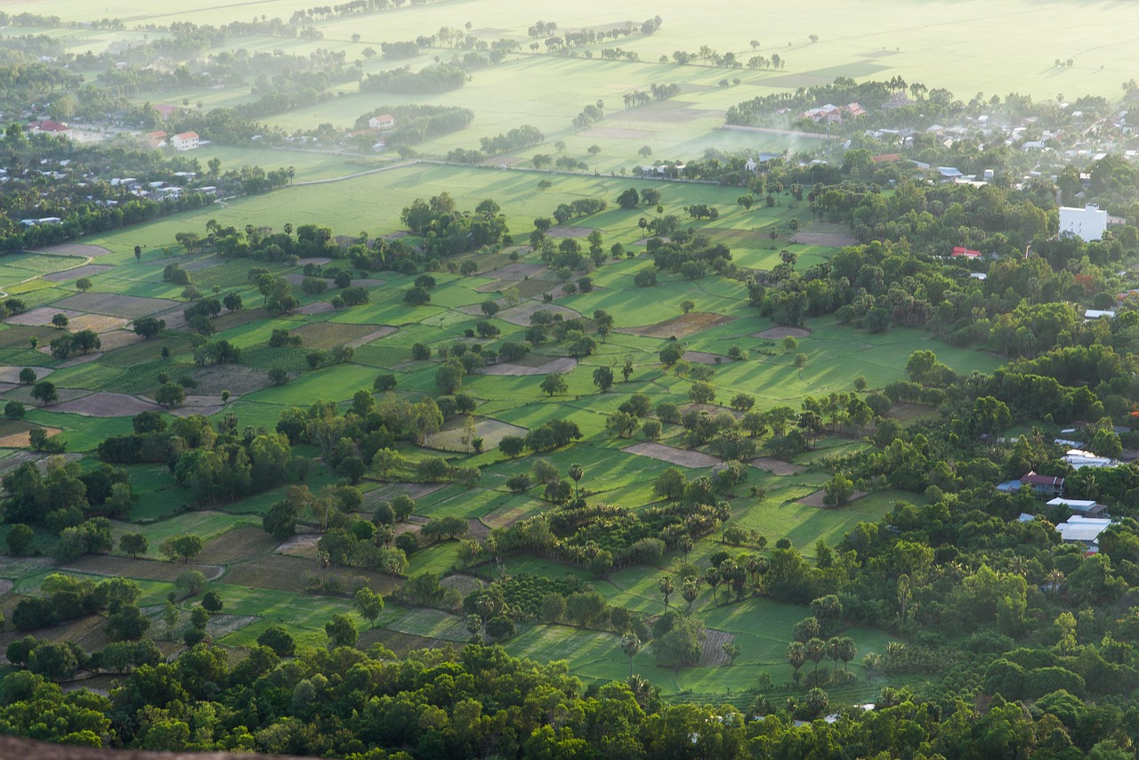 Discover Vista Pointes Surroundings: Nature, Culture, and Adventure