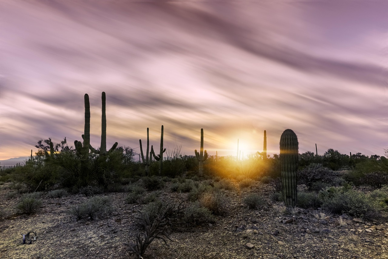 discover-wonders-around-saguaro-national-640x480-l3c6q4