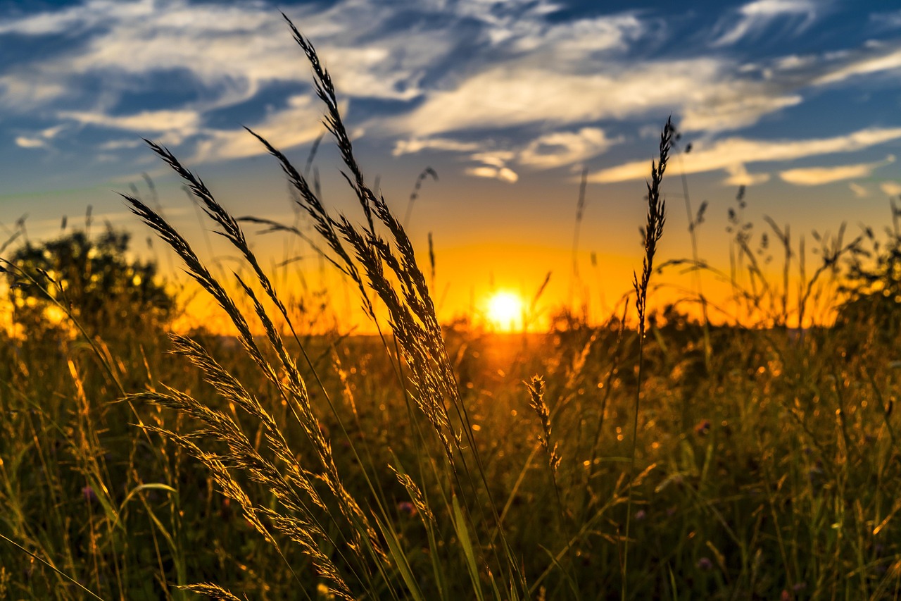 Expert Tips for Selling Sunset Farms Properties