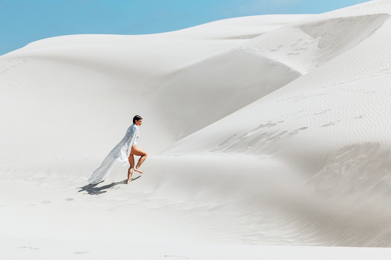 Explore Arizonas Desert Wonders: Nature, Culture, and Adventure