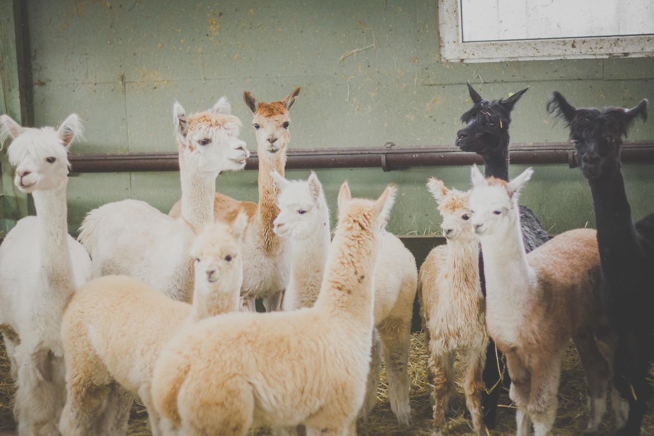 Explore Arizonas Farms: Nature & Culture Immersion & Tastings