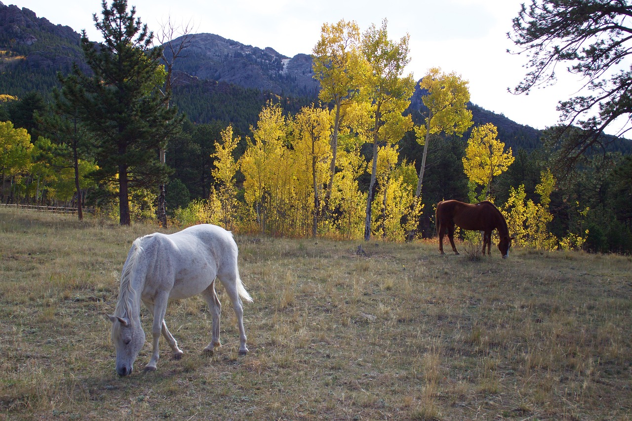 explore-aspens-breweries-the-ultimate-be-640x480-dt3nr8